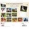 BrownTrout; For the Love of American Pit Bull Terriers | 2027 14 x 24 Inch (Hanging) Monthly Deluxe Wall Calendar | Foil Stamped Cover | Plastic-Free; Category:Wall Calendars; Image:3